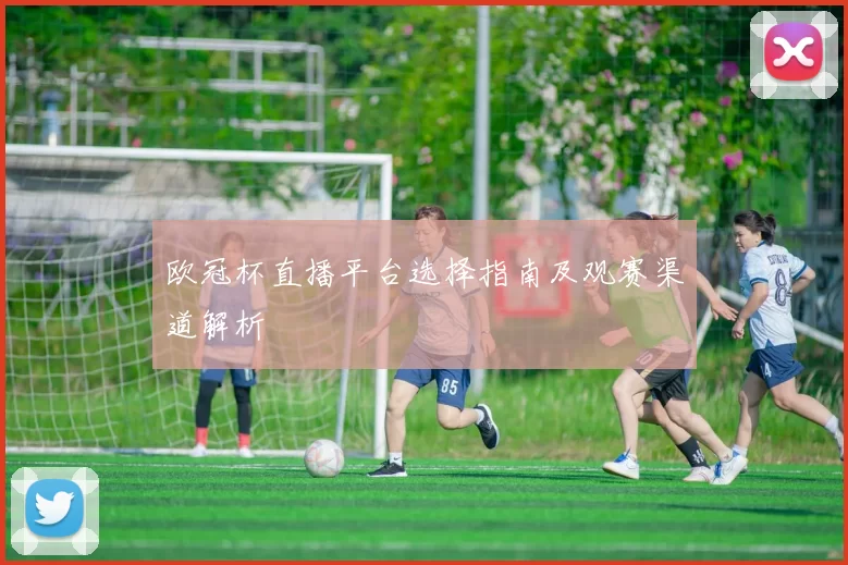 欧冠杯直播平台选择指南及观赛渠道解析