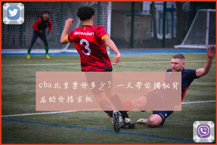 cba北京票价多少？一文带你揭秘背后的价格玄机