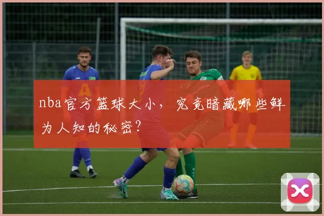 nba官方篮球大小，究竟暗藏哪些鲜为人知的秘密？